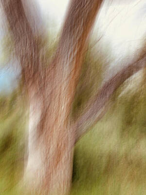 Impressionism Photo Rights Managed Images - Going Fast Royalty-Free Image by Marilyn Hunt