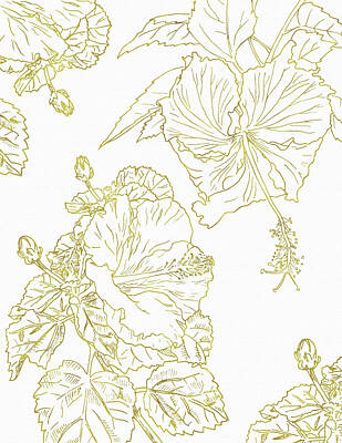 Florals Drawings - Golden Hibiscus by Masha Batkova