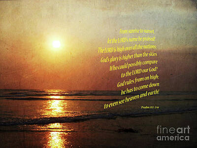 Birds Mixed Media Rights Managed Images - Golden Pacific Sunset Psalm Royalty-Free Image by Debby Pueschel