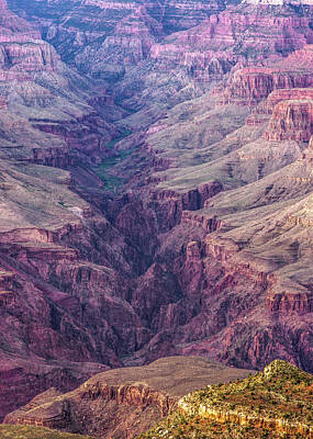Royalty-Free and Rights-Managed Images - Grand Canyon Layers of Time by Gregory Ballos