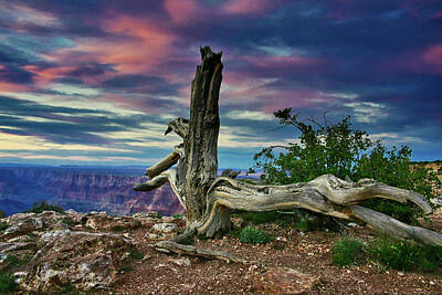 Landscapes Royalty-Free and Rights-Managed Images - Grand Canyon Sky by Sunshine Richardson