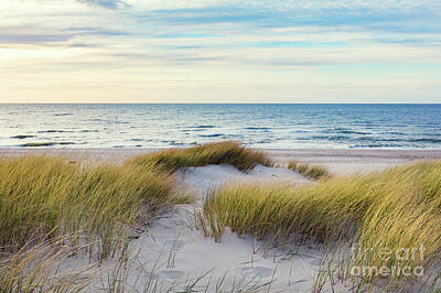 Chemical Glassware - Grassy dunes and the Baltic sea by Michal Bednarek