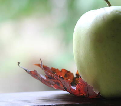 Interior Designers - Green Apple And Autumn Leaf by Cathy Lindsey