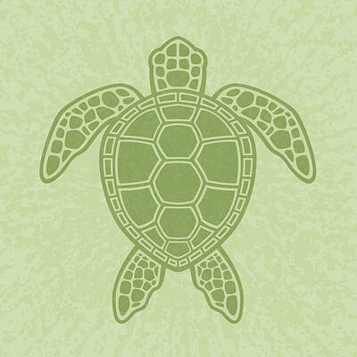 Royalty-Free and Rights-Managed Images - Green Sea Turtle by John Schwegel