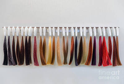 Llamas And Alpacas - Hair Dye Strands Samples Hair Dresser by Luca Lorenzelli