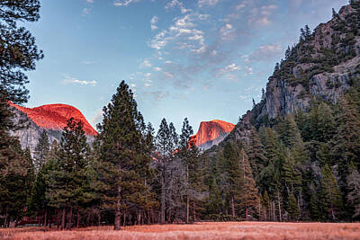 Llamas And Alpacas - Half Dome At Last Light - Yosemite National Park  by Gregory Ballos