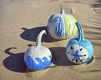 Extreme Sports - Halloween Blue and White Pumpkins on a Dune by Bill Swartwout