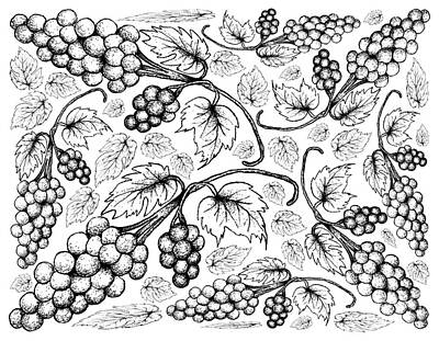 Wine Drawings - Hand Drawing Background of Fresh Juicy Assyrtiko Grapes by Iam Nee
