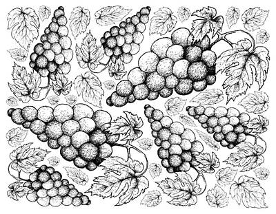 Wine Drawings - Hand Drawing Background of Fresh Juicy Red Grapes by Iam Nee