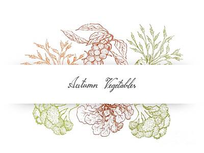 Food And Beverage Drawings - Hand Drawn Autumn Vegetables of Brussels, Sprouts Broccoli and Celeriac by Iam Nee