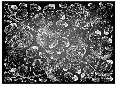 Recently Sold - Food And Beverage Drawings - Hand Drawn Background of Ackee Fruits and Breadfruit on Chalkboard by Iam Nee