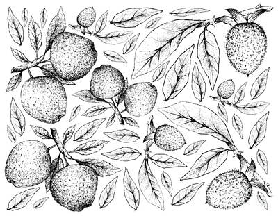 Food And Beverage Drawings - Hand Drawn Background of Apple and Diospyros Rhombifolia Fruits by Iam Nee