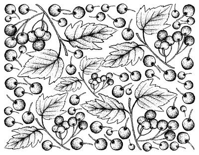 Landmarks Drawings - Hand Drawn Background of Fresh American Cranberries by Iam Nee