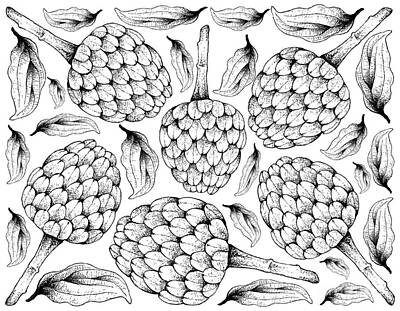 Recently Sold - Food And Beverage Drawings - Hand Drawn Background of Ripe Cherimoya Fruits by Iam Nee