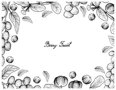Drawings Royalty Free Images - Hand Drawn Frame of Antidesma Ghaesembilla and Barbados Cherry Royalty-Free Image by Iam Nee