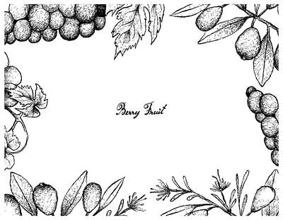 Wine Drawings - Hand Drawn Frame of Australian Beach Cherries and Wine Grapes by Iam Nee
