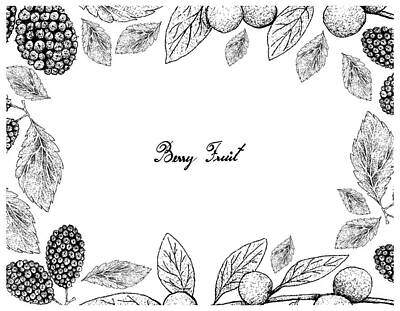 Food And Beverage Drawings - Hand Drawn Frame of Canary Beech and Black Mulberries by Iam Nee