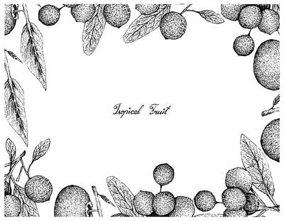 Food And Beverage Drawings - Hand Drawn Frame of Gold Apple and Hanza Fruits by Iam Nee