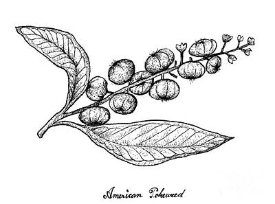Pixel Art Mike Taylor - Hand Drawn of American Pokeweed on White Background by Iam Nee