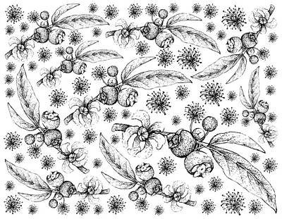 Food And Beverage Drawings - Hand Drawn of Goiaba de Anta Fruits Background by Iam Nee