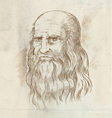 Portraits Rights Managed Images - Hand drawn  portrait. Leonardo Da Vinci Royalty-Free Image by Domenico Condello