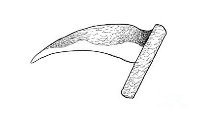 World Forgotten - Hand Drawn Sketch of Sickle or Bagging Hook by Iam Nee