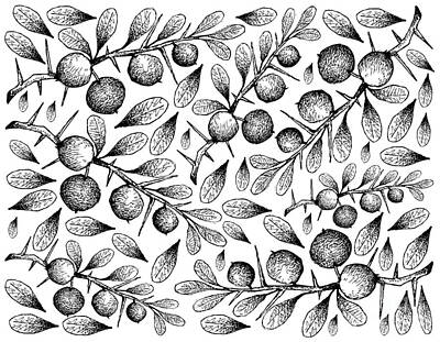 Food And Beverage Drawings - Hand Drawn Wallpaper of Kei Apple Fruits on White Background by Iam Nee