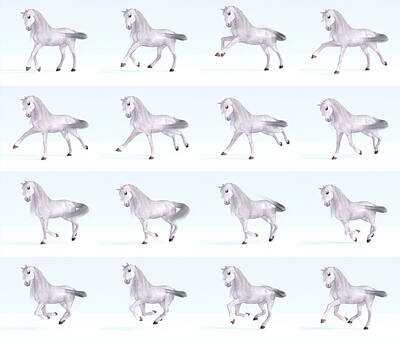 Animals Digital Art - Horse Gallop Sequence by Betsy Knapp