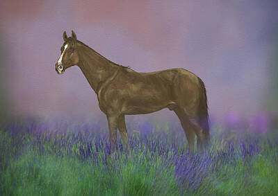 Mammals Mixed Media - Horse In Lavender by Amanda Jane