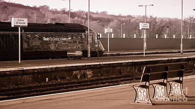 Bold Animal Portraits - HST Exeter  by Rob Hawkins