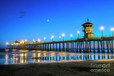 Animals And Earth Rights Managed Images - Huntington Pier at Dusk Royalty-Free Image by David Zanzinger