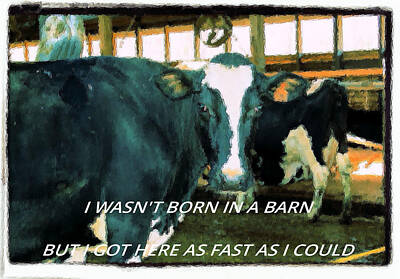 Discover Inventions - I wasnt born in a barn by Stephanie Turiano