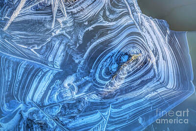 Frog Photography - Ice Art 2 by Veikko Suikkanen