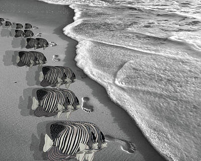 Beach Digital Art - Imprints by Betsy Knapp