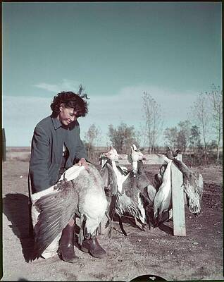 Tranquil Waters -  Indigenous woman plucking geese by Celestial Images