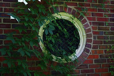 Anne Geddes Florals - Ivy Round Window by Selena Lorraine