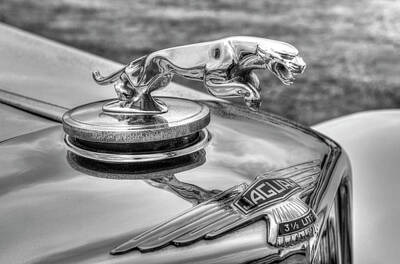 Movies Star Paintings - Jaguar Classic Car by David Pyatt