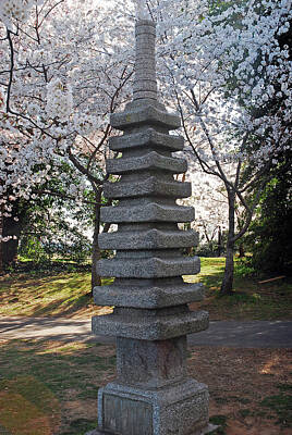 Beers On Tap - Japanese Lantern in the Cherry Blossoms by James Kirkikis