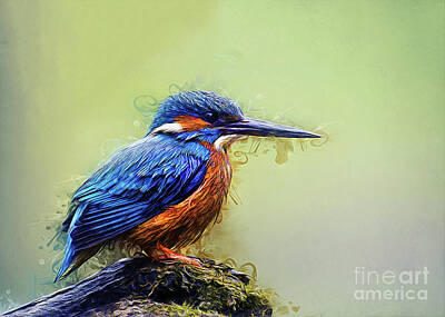 Steampunk - Kingfisher by Ian Mitchell