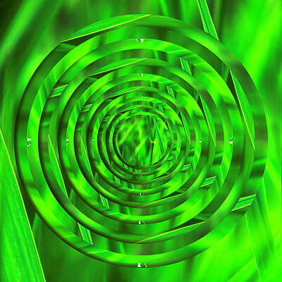 Royalty-Free and Rights-Managed Images - Lake Grass Raindrop Circles 2 by Pelo Blanco Photo