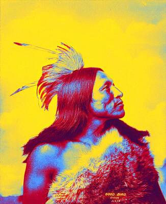 Latidude Image - Lakota Sioux Warrior, Good Bird 1898 Neon art by Ahmet Asar by Celestial Images