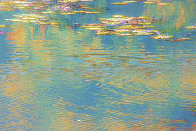 Abstract Landscape Photos - Lily Pads na0043 by David Pringle