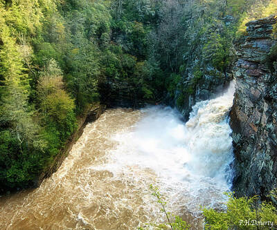 Too Cute For Words - Linville Falls Off Blue Ridge Parkway by Phill Doherty