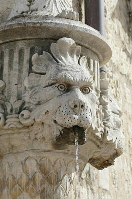 Mid Century Modern Royalty Free Images - Lions head fountain in outdoor plaza  Royalty-Free Image by Steve Estvanik