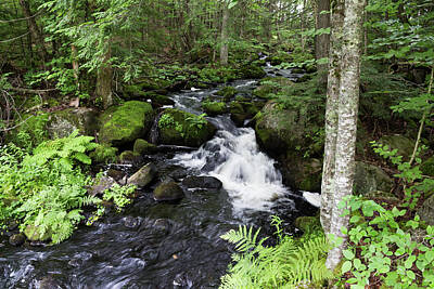 Spot Of Tea - Little Maine Waterfall by Kirkodd Photography Of New England