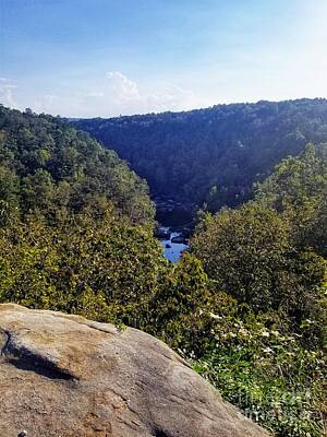 The Who - Little River Canyon Overlook Alabama by Rachel Hannah