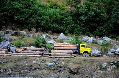 Nighttime Street Photography Rights Managed Images - Loggers loading tree trunks onto yellow truck on mountainside Kaghan Pakistan Royalty-Free Image by Imran Ahmed
