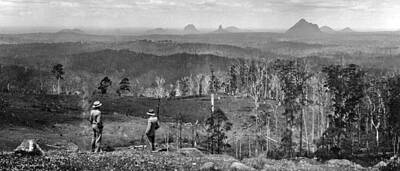 Mountain Paintings - Looking across Wootha towards the Glass House Mountains  1931 by Celestial Images
