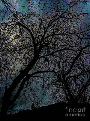 Halloween Movies - Looking Up At The Trees by Angela Lizotte