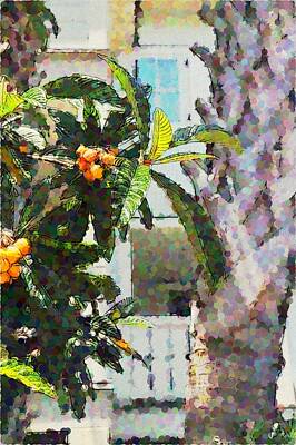 Marilyn Monroe - Loquat Tree And Palm Tree 2 by Cathy Lindsey
